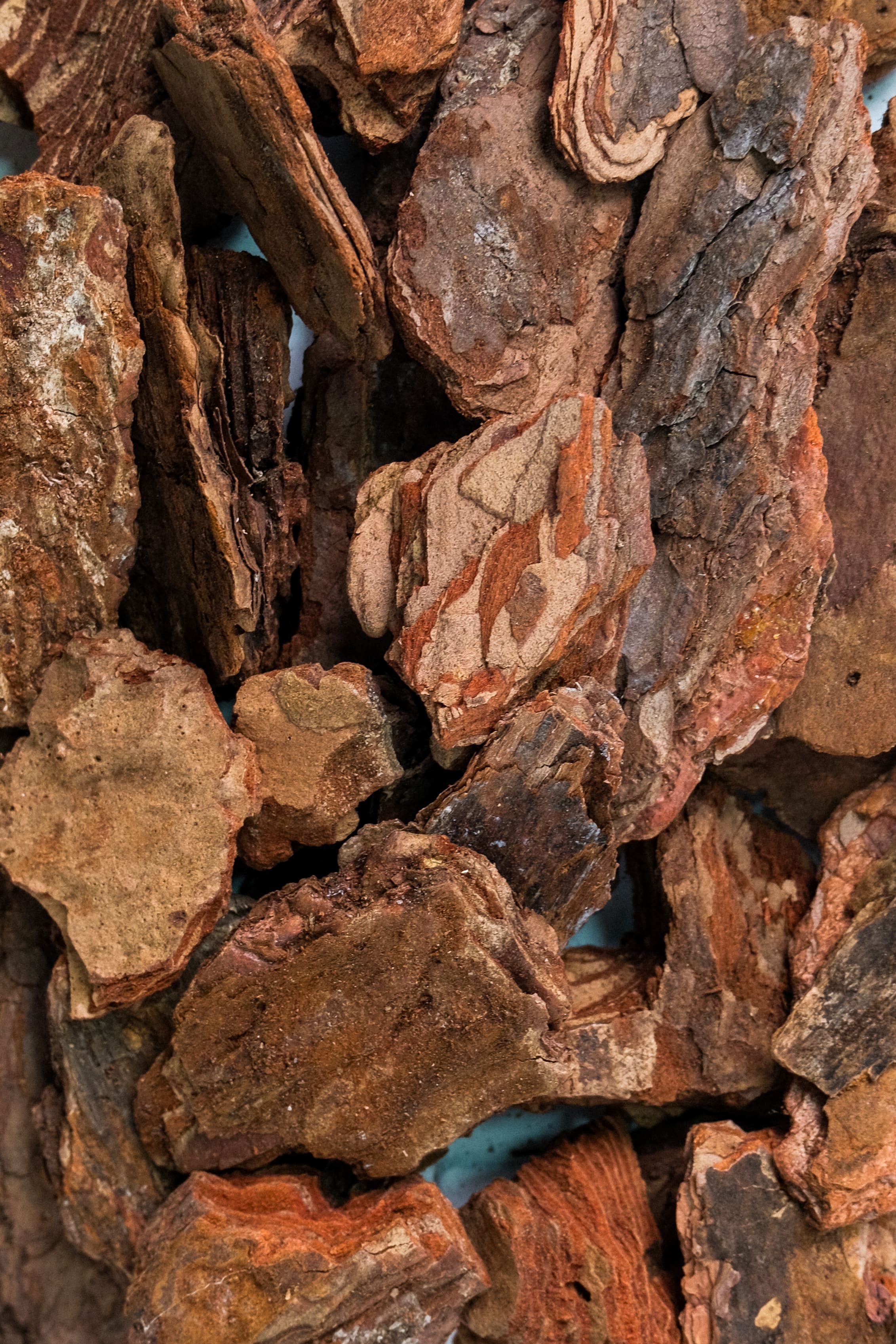 Scoarță decorativă