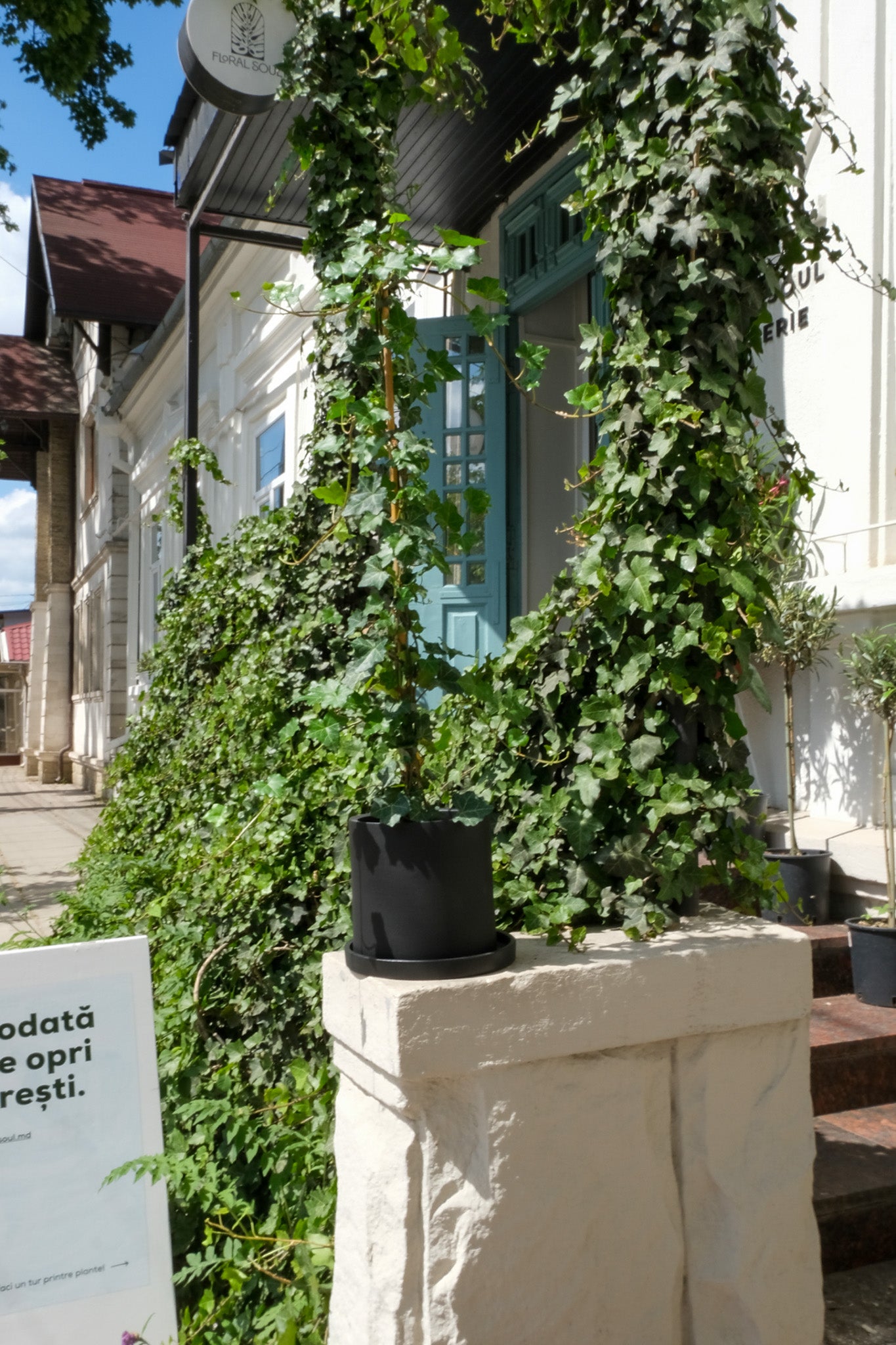 Hedera exterior - Image 9