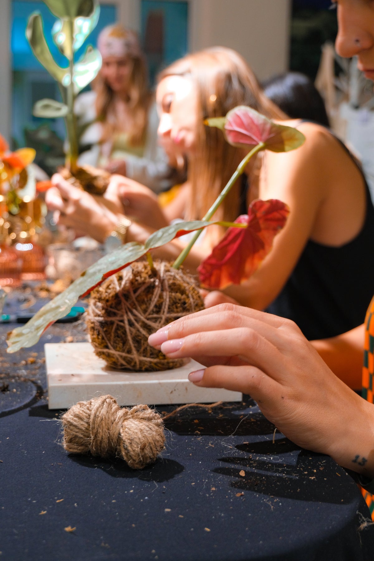 Atelier Kokedama