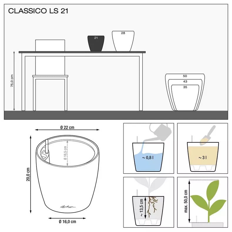 CLASSICO Premium LS