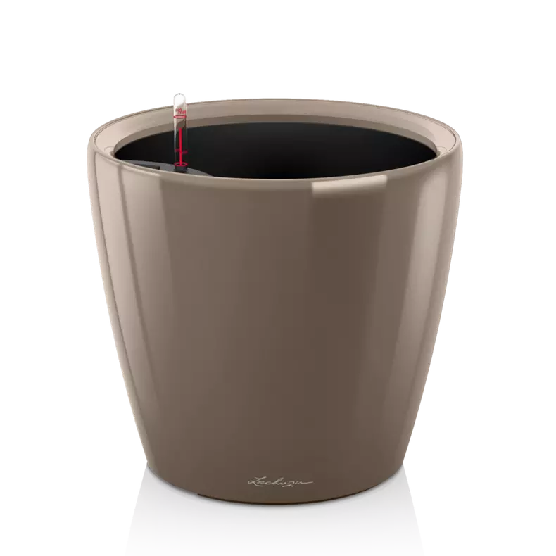 CLASSICO Premium LS