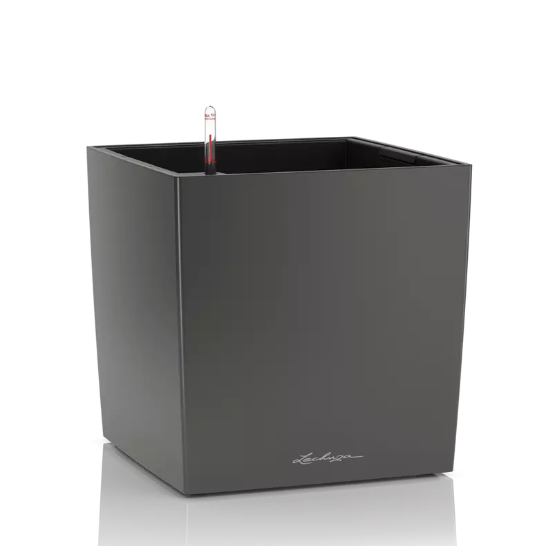 CUBE Premium
