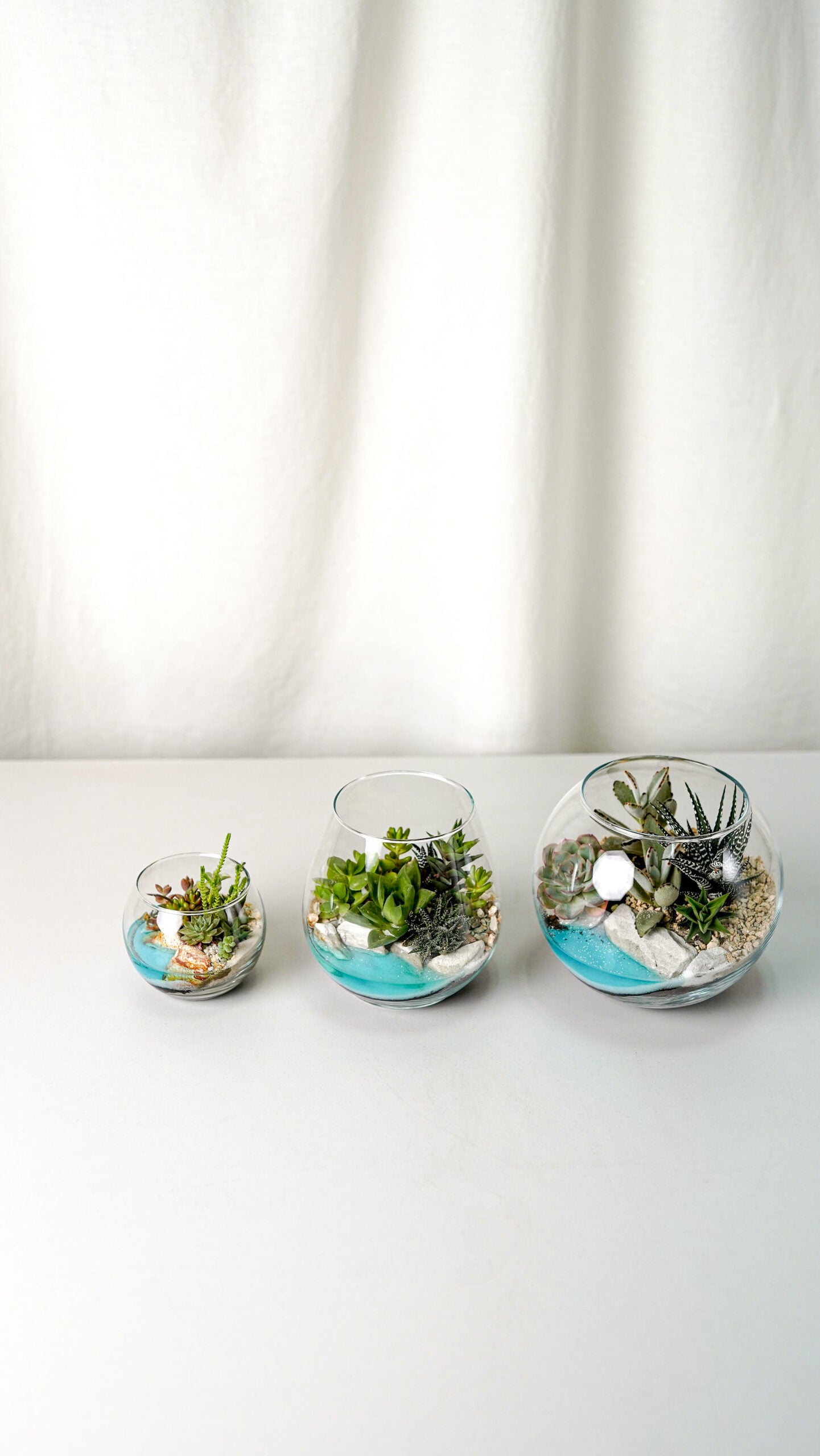 Terariu Marimo mare - Image 0