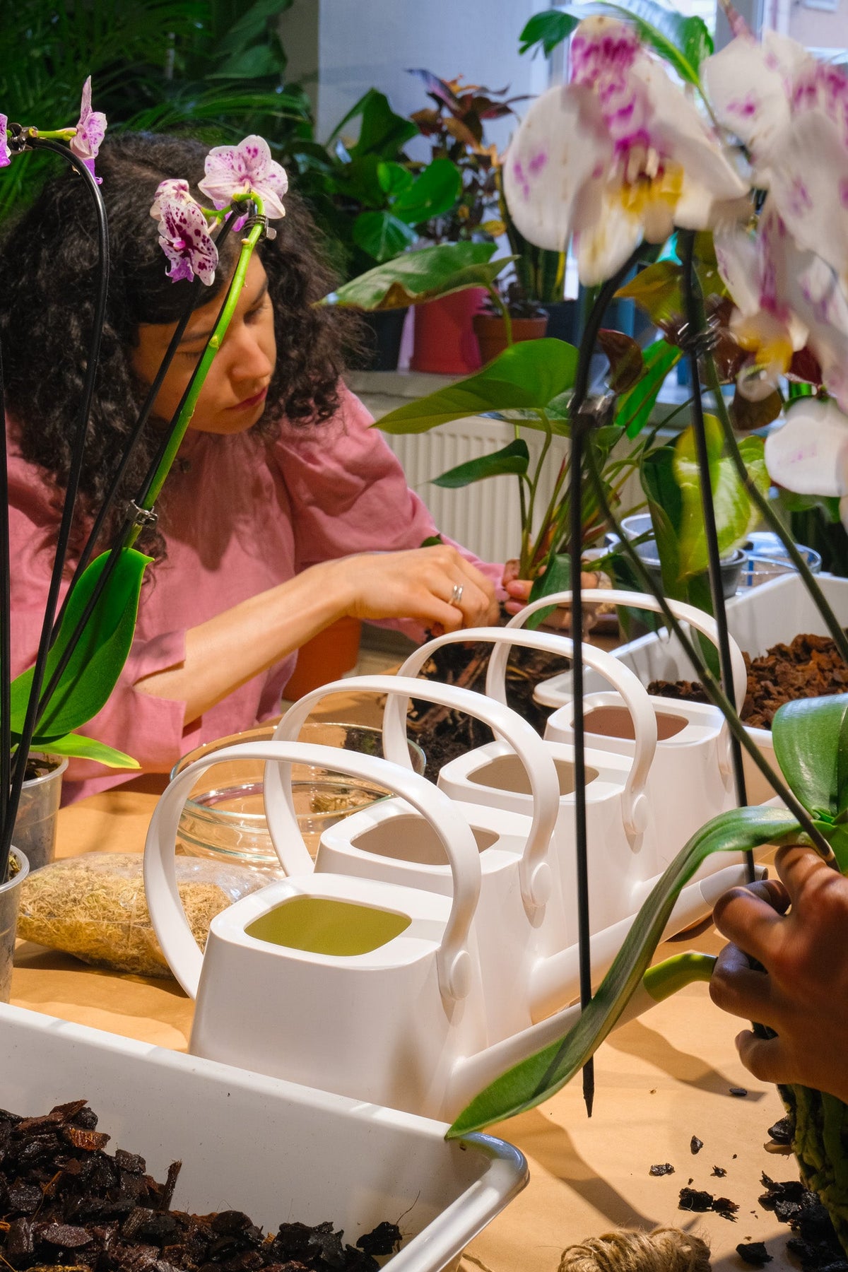 Atelier Kokedama