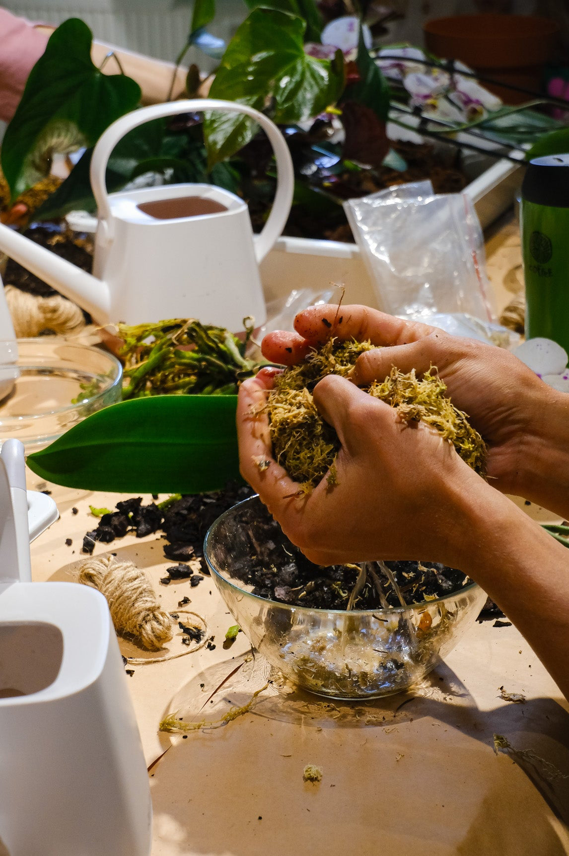 Atelier Kokedama