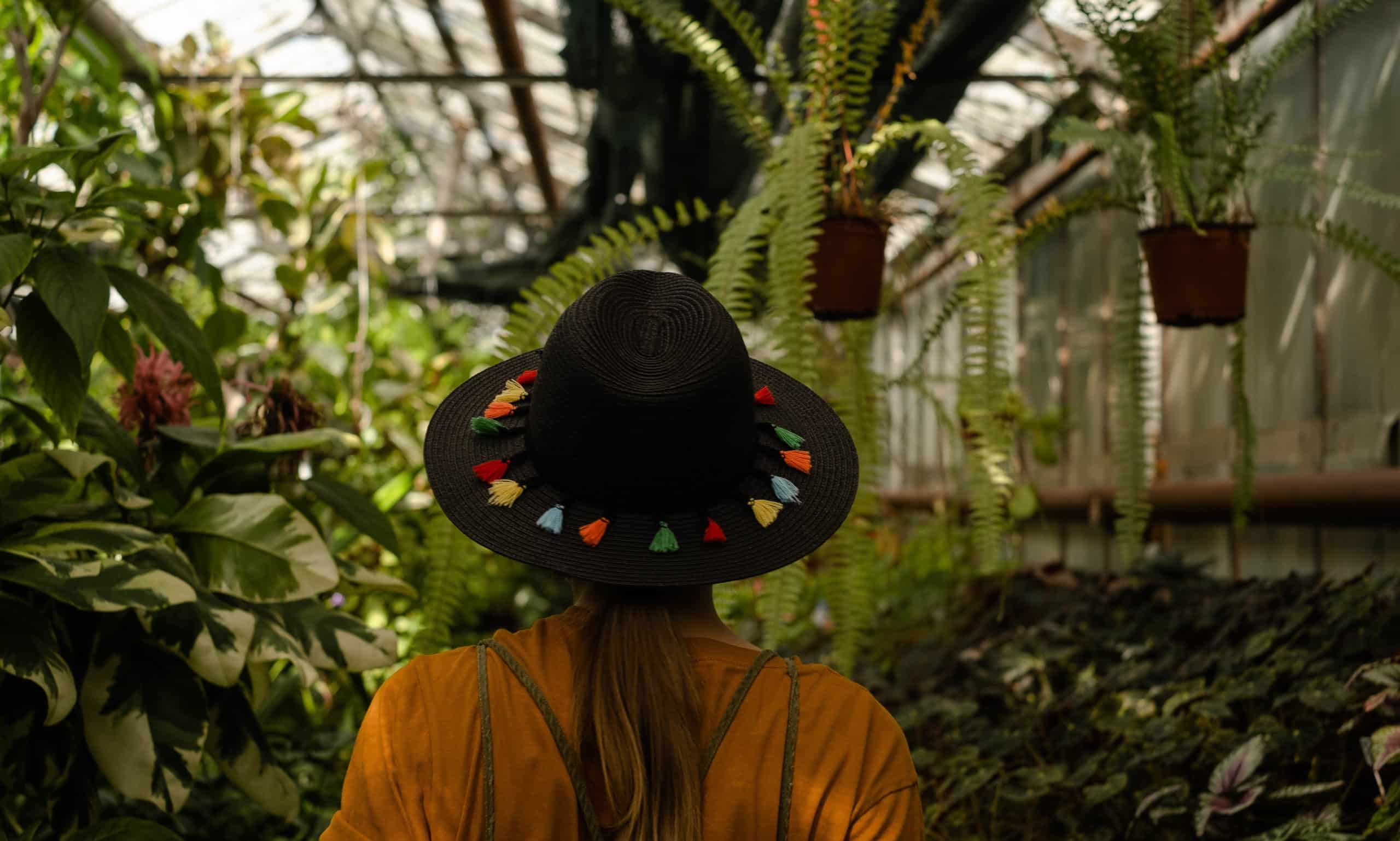 De ce să trăiești printre plante este bine pentru tine featured image