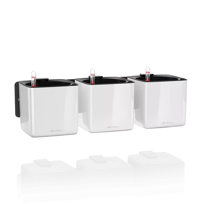 Green Wall CUBE Glossy 14