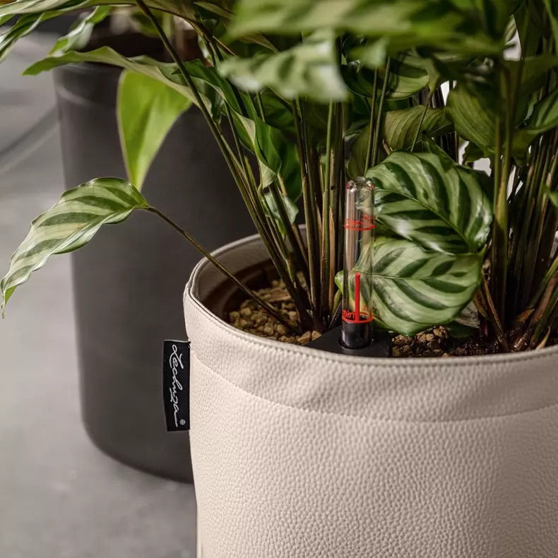 TRENDCOVER Vegan Leather