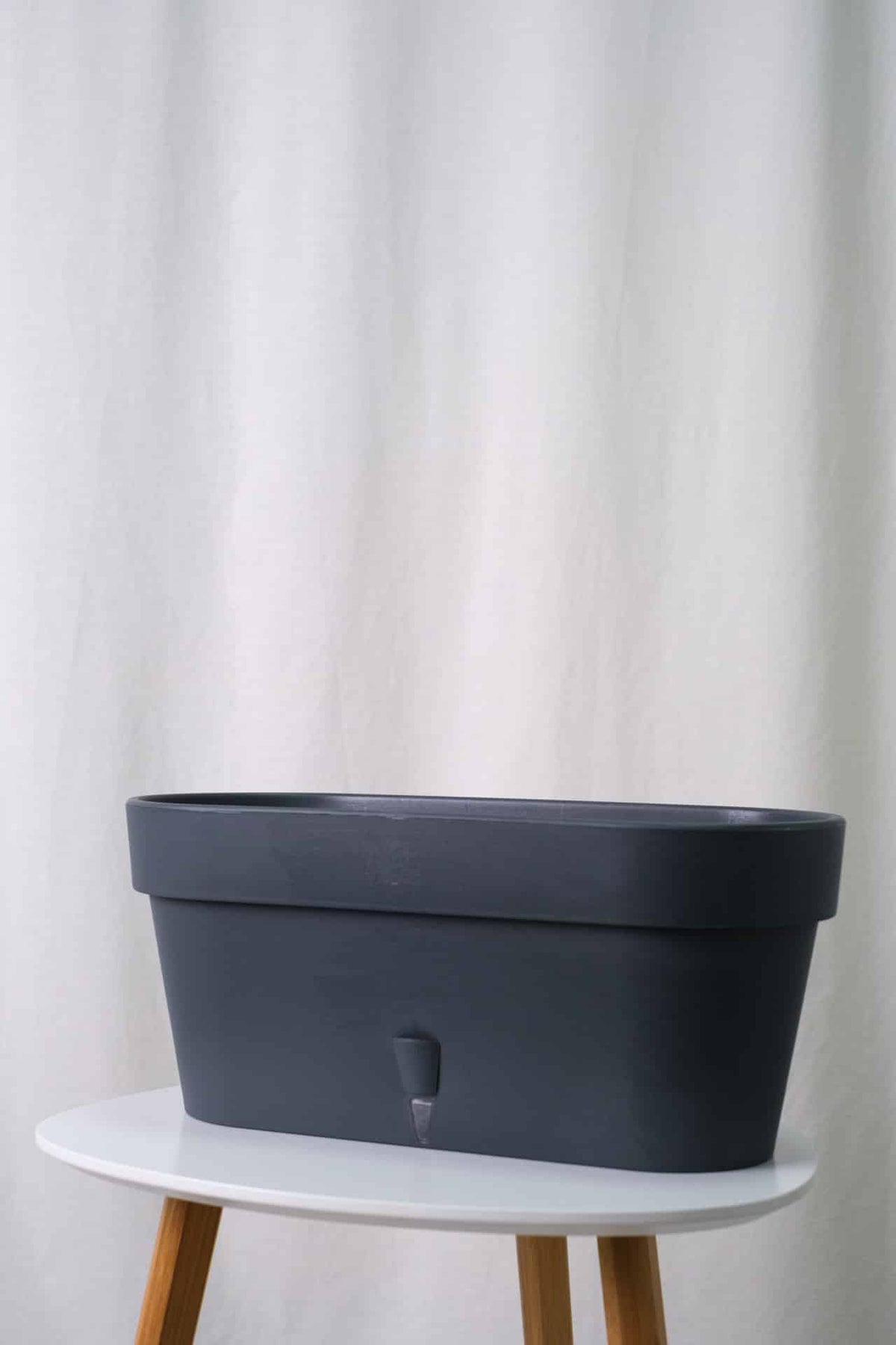 Latina Window