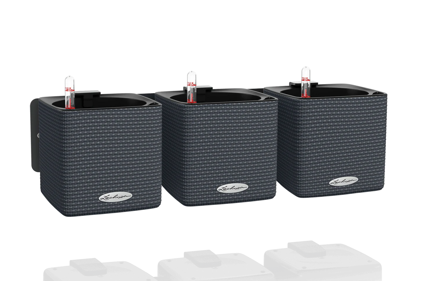 Green Wall CUBE Color 14