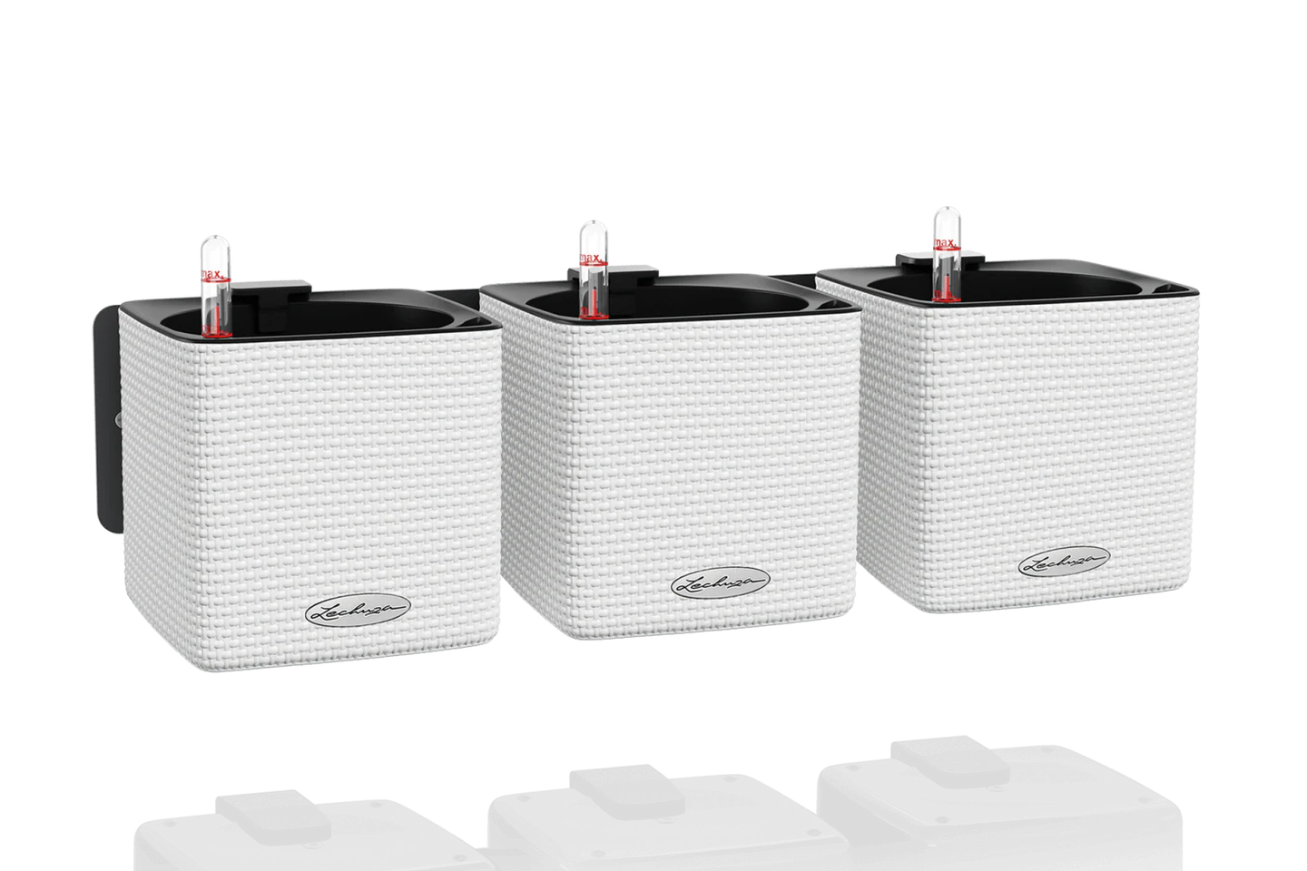 Green Wall CUBE Color 14