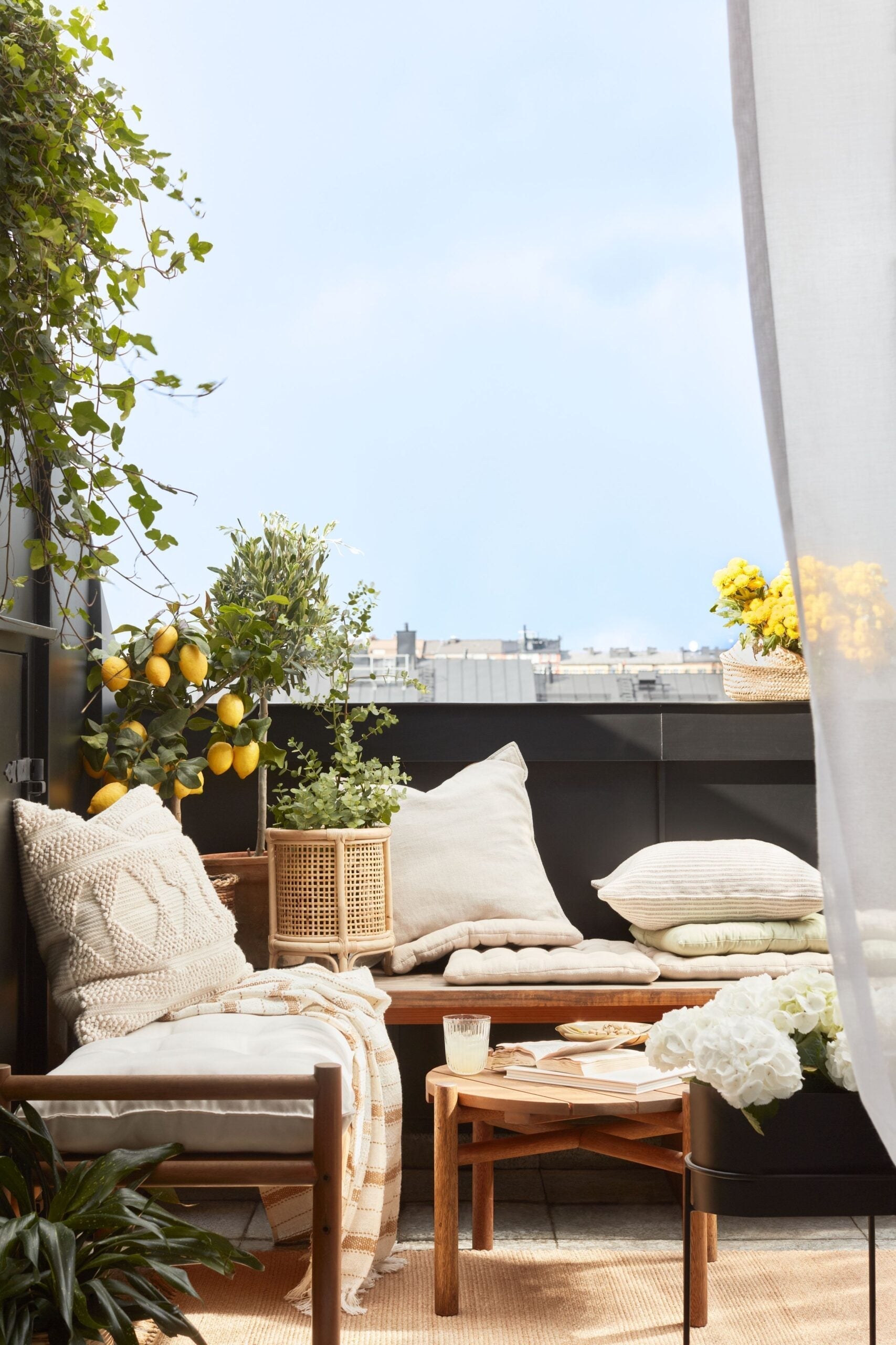 De la beton la junglă urbană pe balcoane și terase. Cele mai bune plante pentru a decora balconul sau terasa