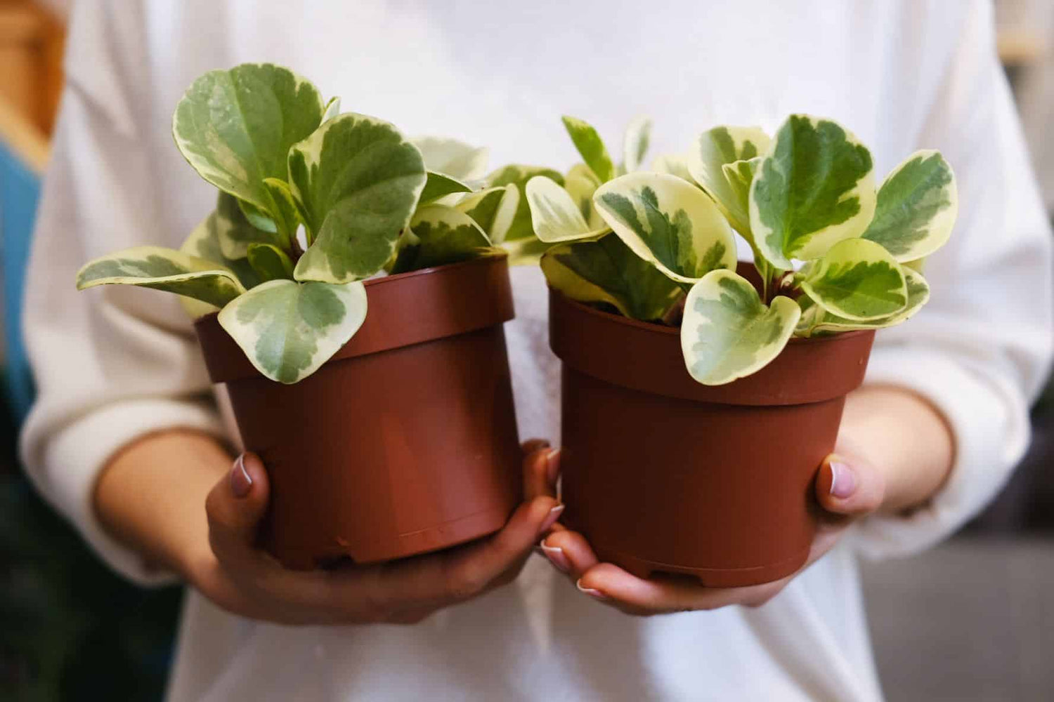 Nu uita să-ți faci un cadou de primăvară – reconectează-te cu natura