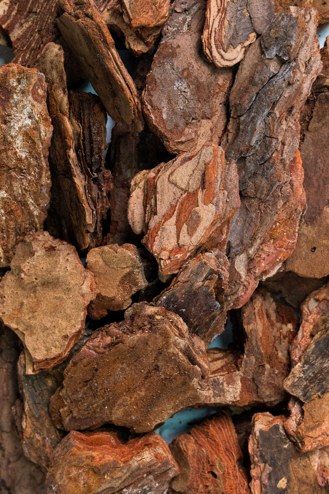 Scoarță decorativă