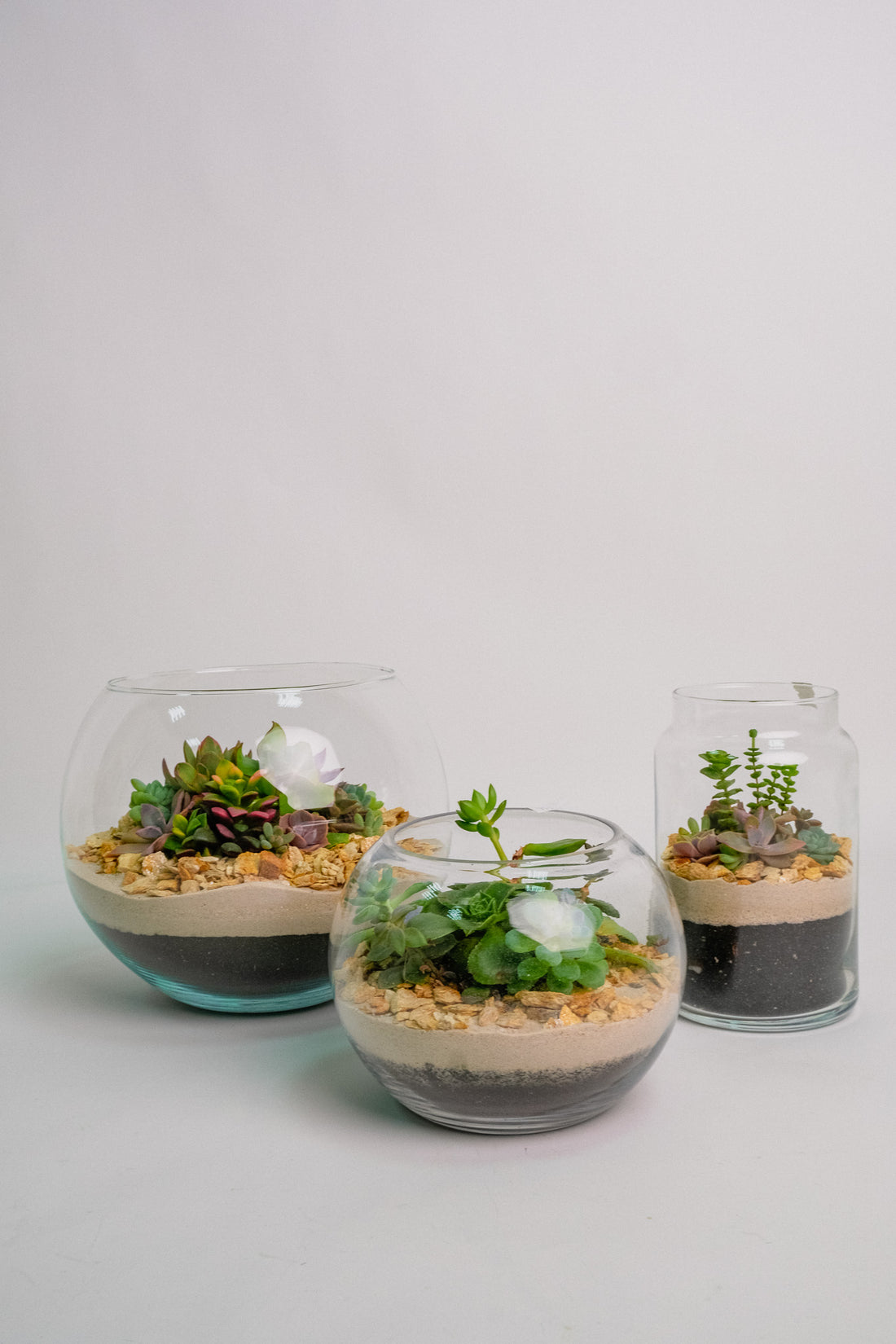 Terariu cu nisip alb mare - Image 03