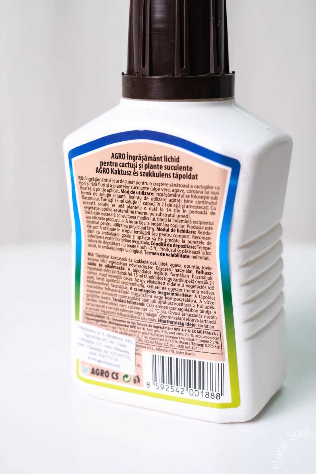 Ingrasamant lichid cactusi si suculente