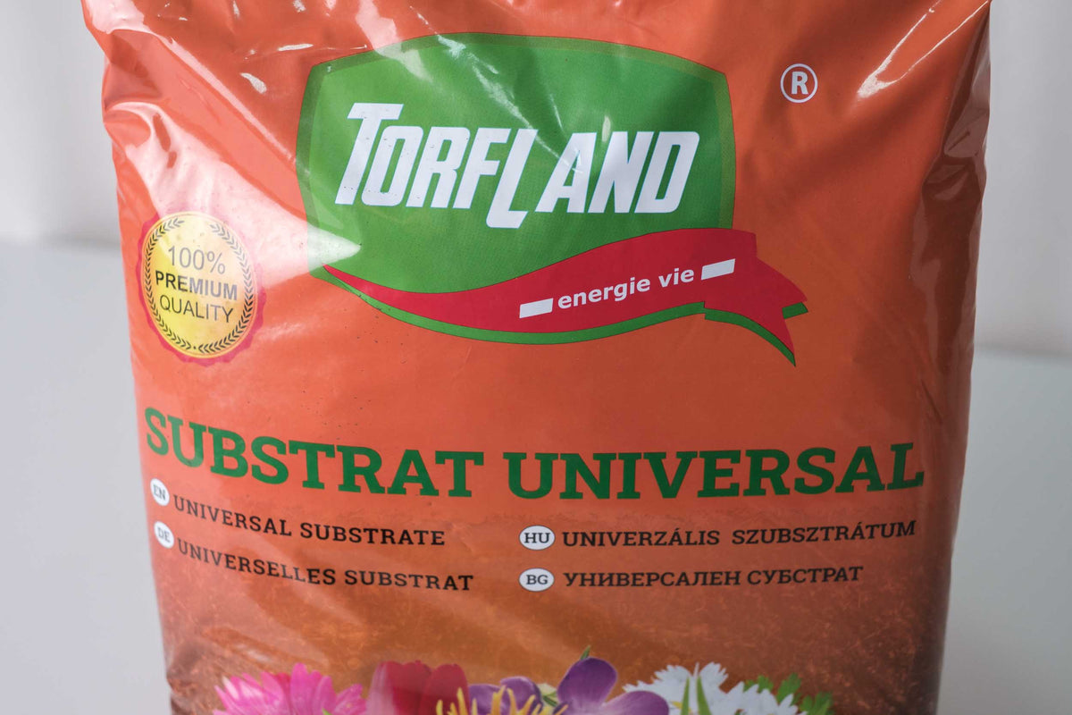 Pământ Universal