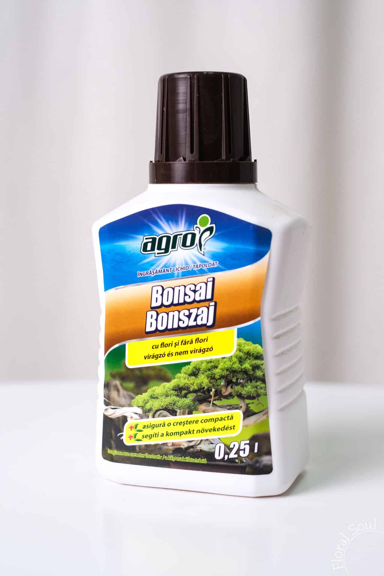 Ingrasamant lichid bonsai