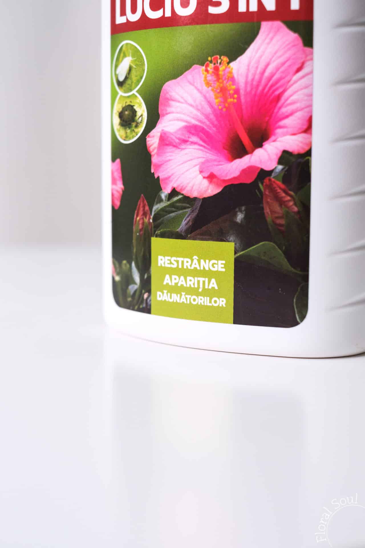 Ulei luciu și combatere dăunători