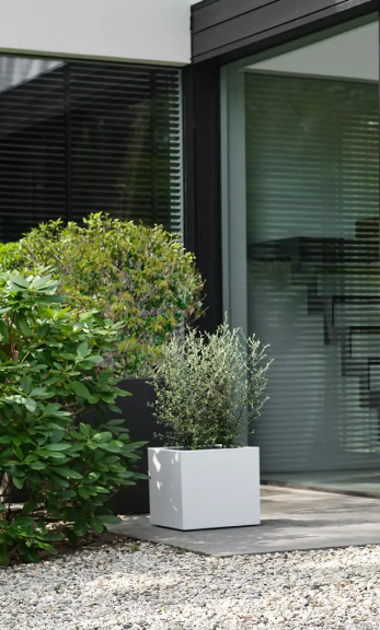 Vivo next square