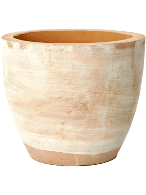 Terra Cotta