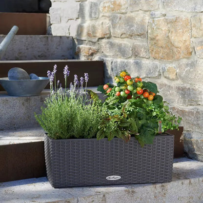 BALCONERA COTTAGE