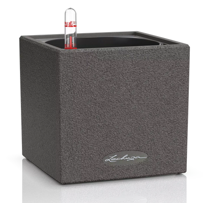 Canto stone