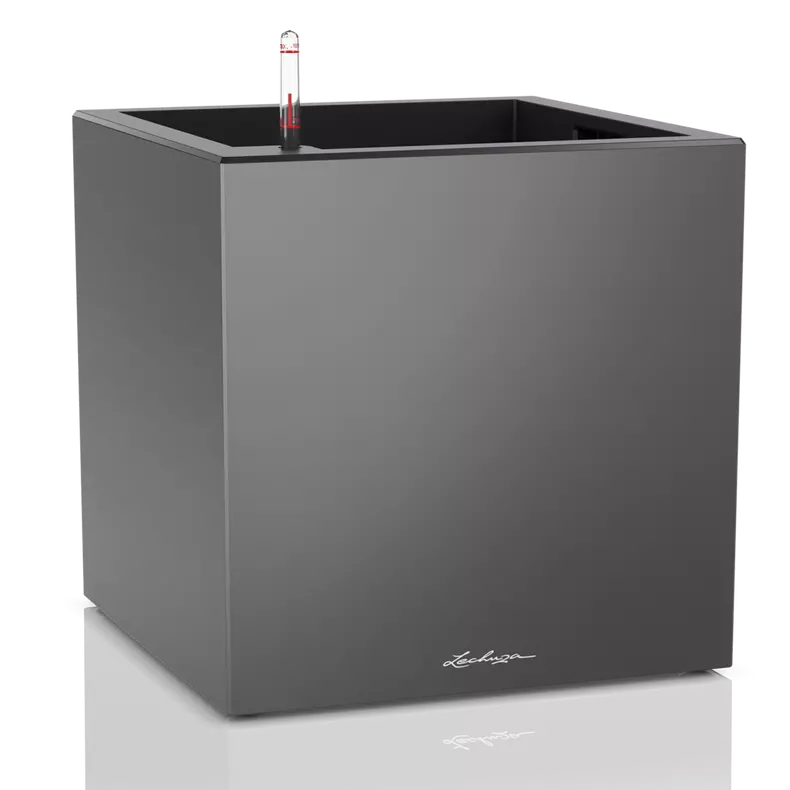 CANTO Premium