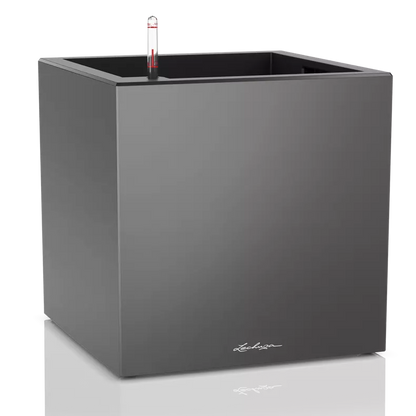 CANTO Premium