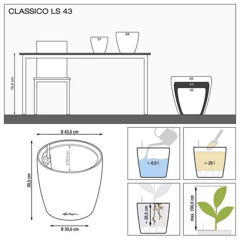 CLASSICO Premium LS