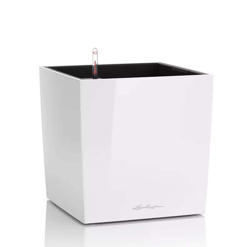 CUBE Premium