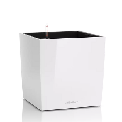 CUBE Premium