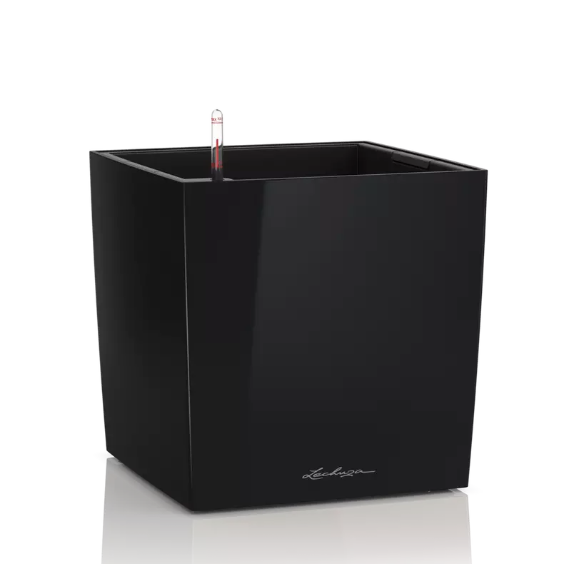 CUBE Premium