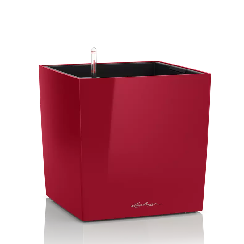 CUBE Premium