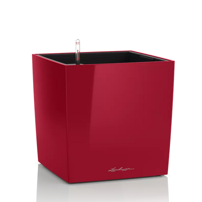 CUBE Premium