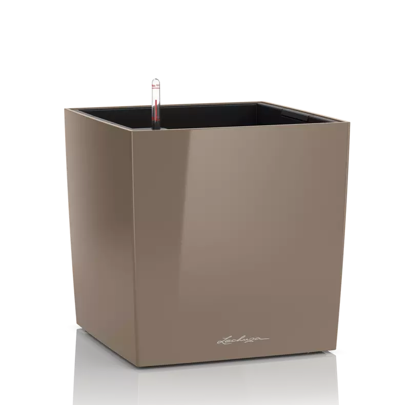 CUBE Premium