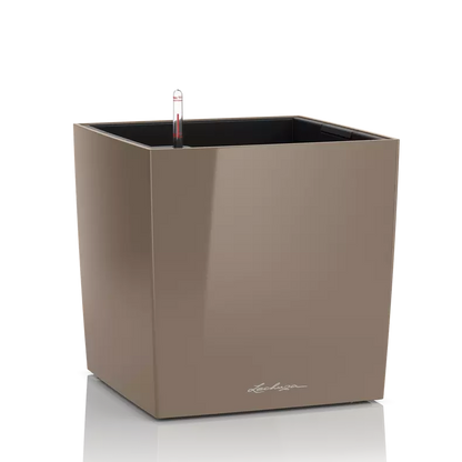 CUBE Premium