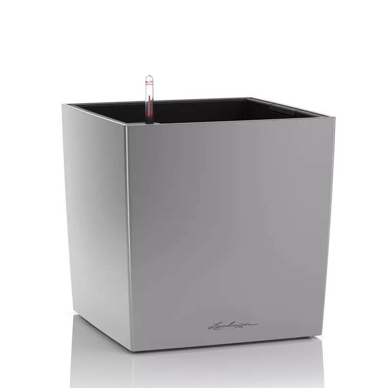 CUBE Premium