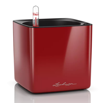 CUBE Glossy