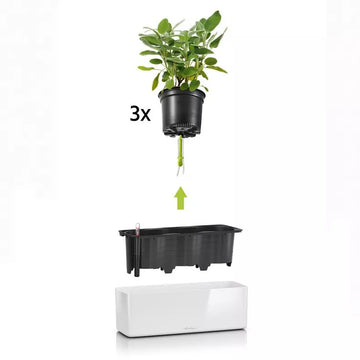 CUBE Glossy Triple
