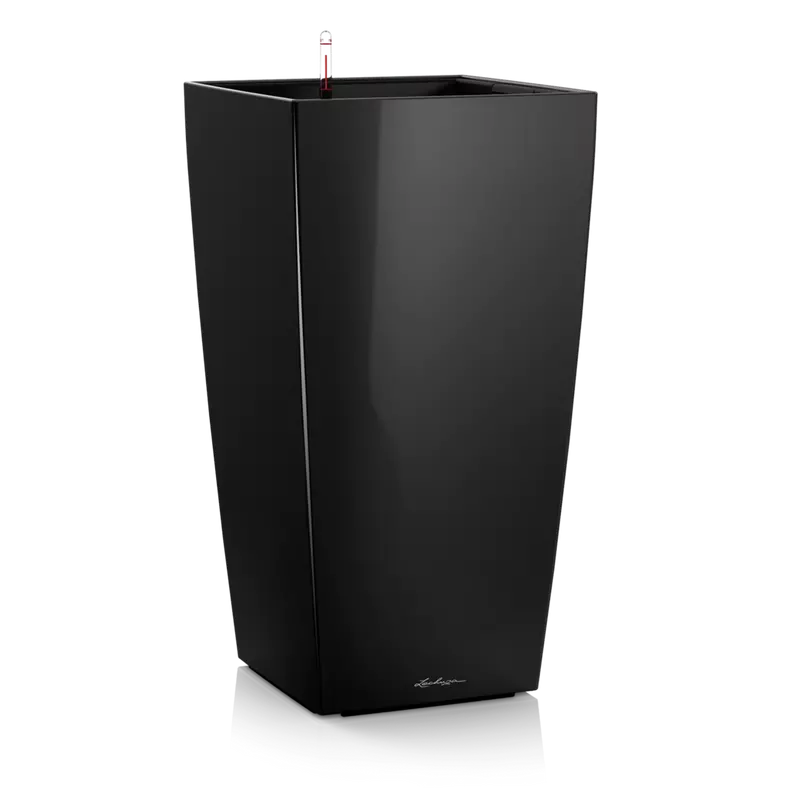 CUBICO Premium