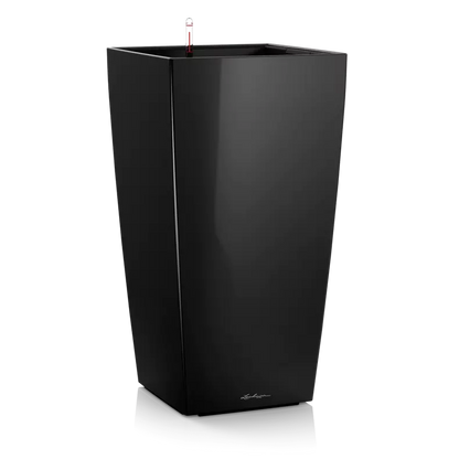 CUBICO Premium