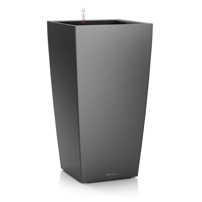 CUBICO Premium
