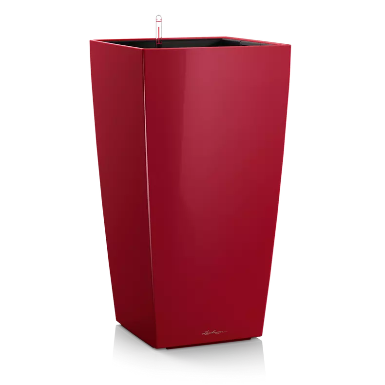 CUBICO Premium