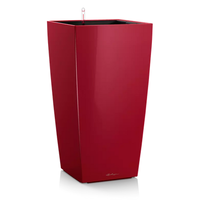 CUBICO Premium