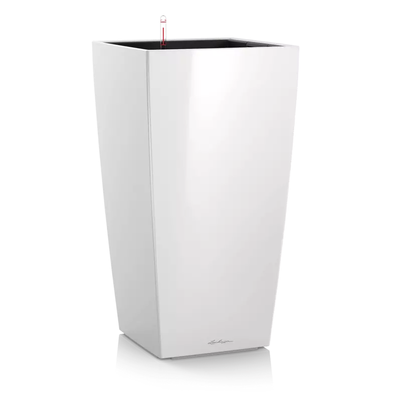 CUBICO Premium