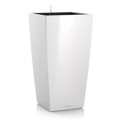 CUBICO Premium