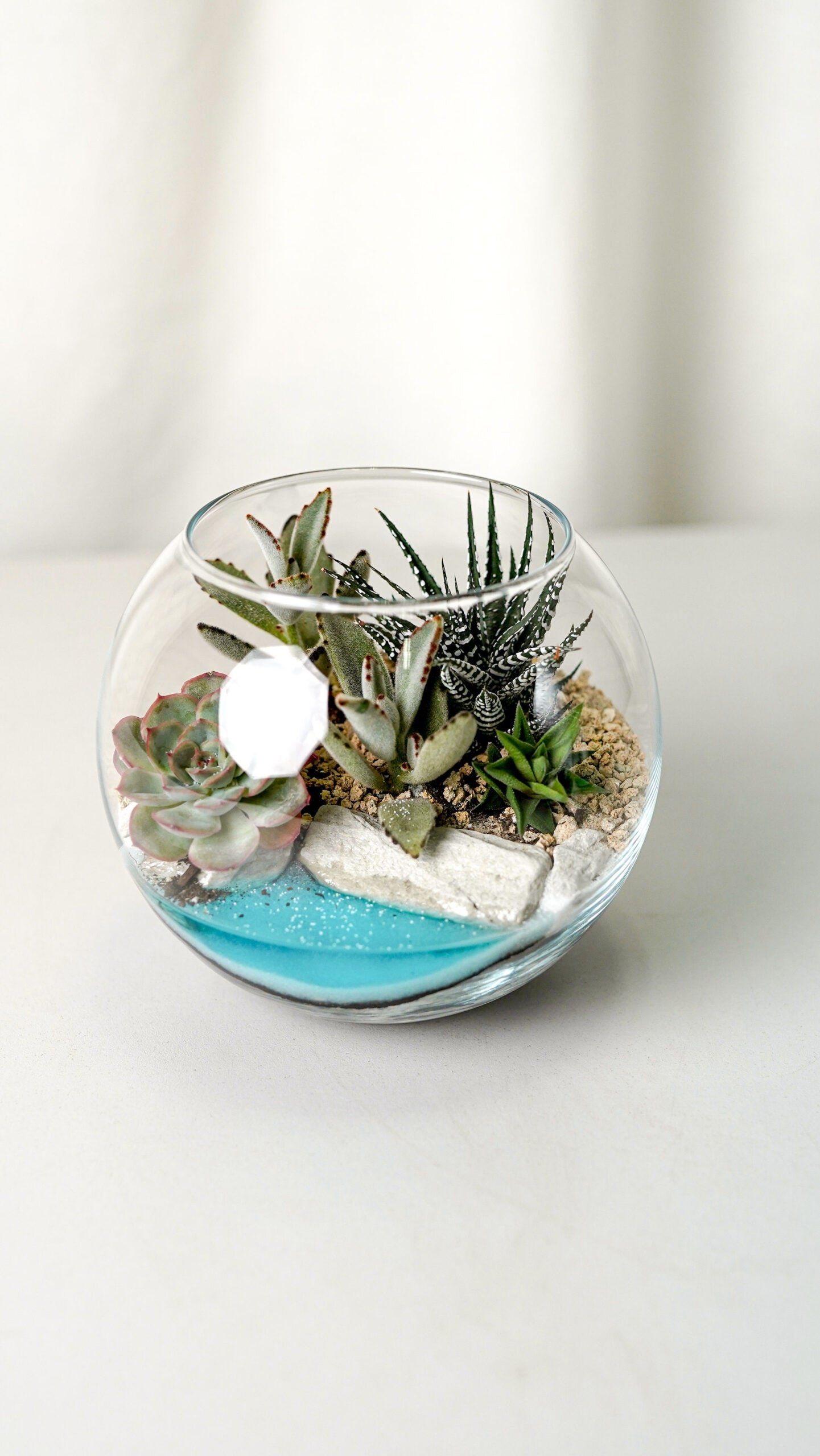 Terariu Marimo mic - Image 1