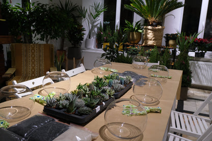 Atelier Terariu