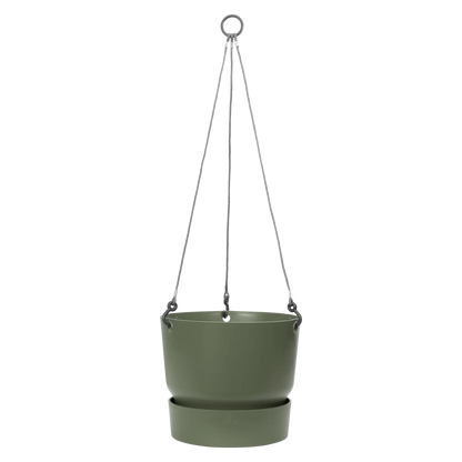 Greenville hanging basket